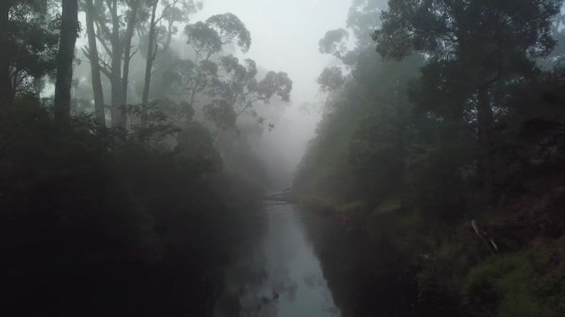 Clip 18 - Upper Yarra